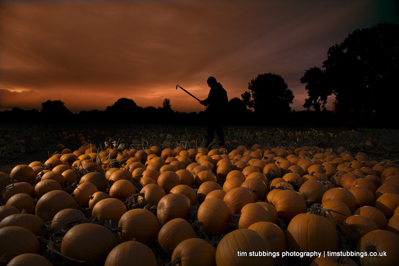 Editorial photography in Kent for Aldi (UK) - Pumpkins at dawn