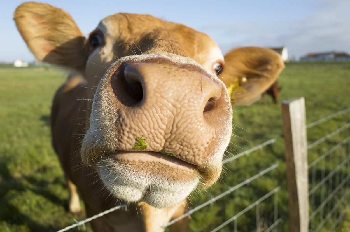 Seasalter in Kent during lockdown March - June 2020